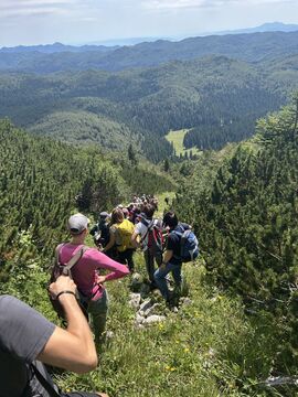 Foto Š. Polak Bizjak (1)
